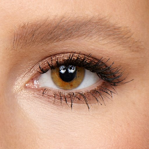 brigette-model brigette-model