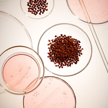 Bix Activ under mircroscope Red-coloured, skincare ingredient, Bix Activ under a microscope.