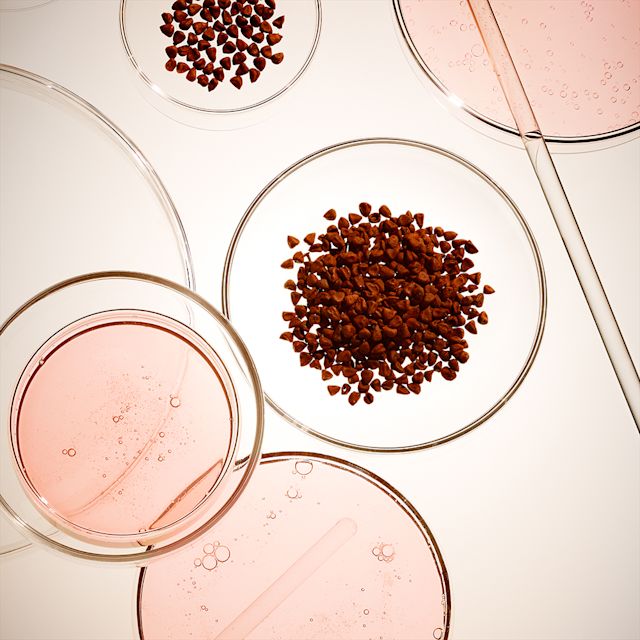 Bix Activ under mircroscope Red-coloured, skincare ingredient, Bix Activ under a microscope.
