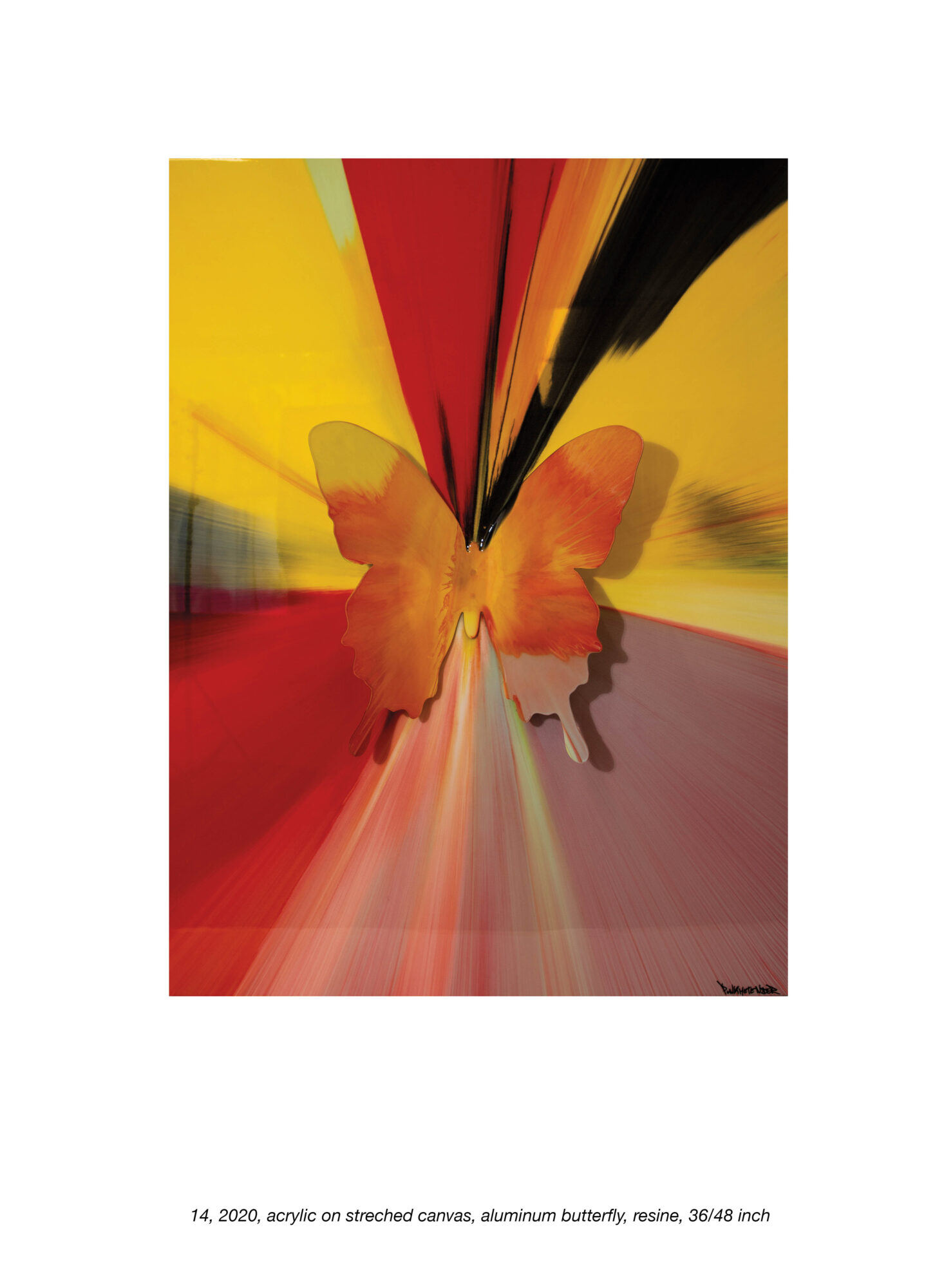 orange, yellow and red butterfly