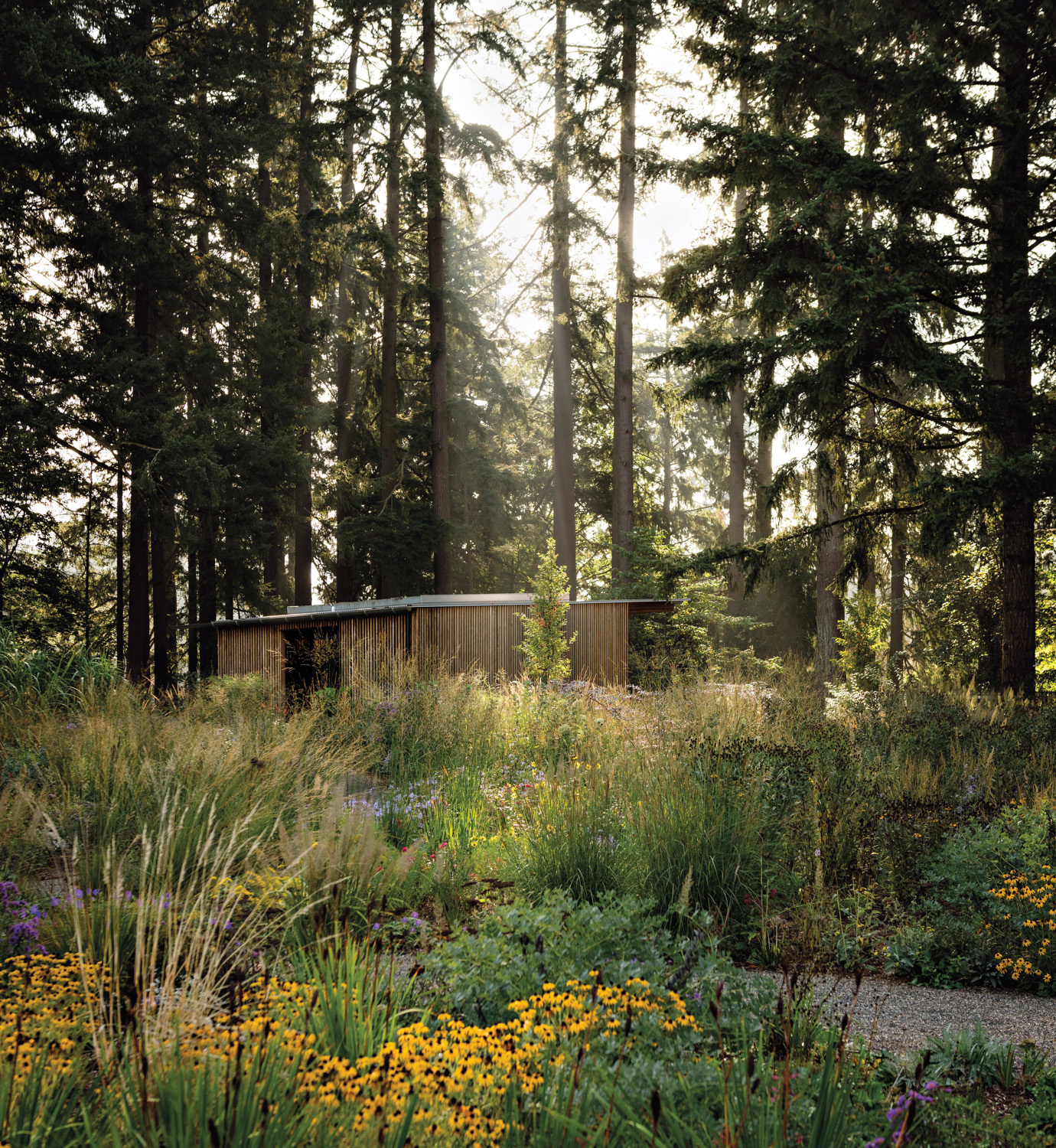 Wood pavilion surrounded by lush green plants, flowers and trees at Leach Botanical Garden