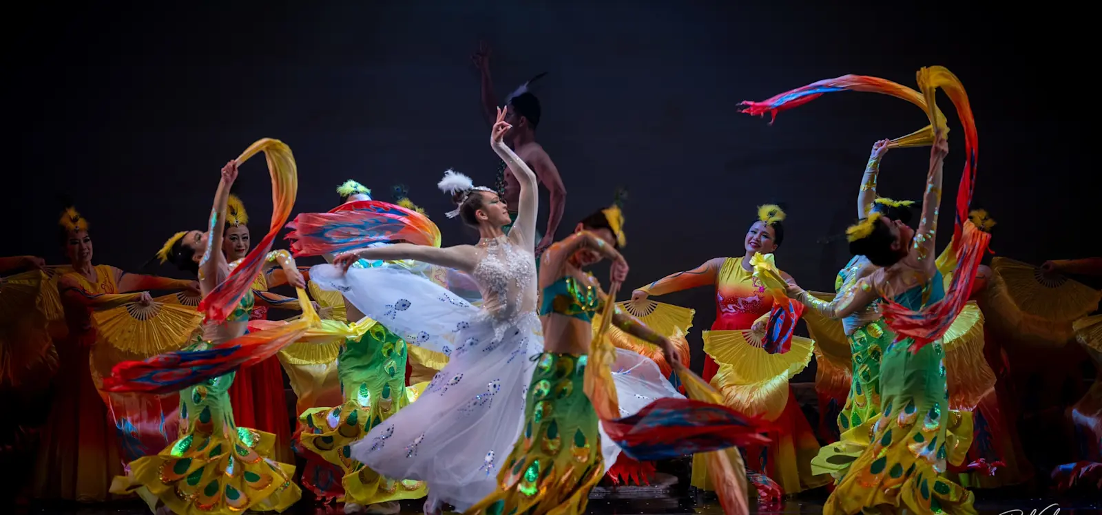 CAAM Chinese Dance Theater