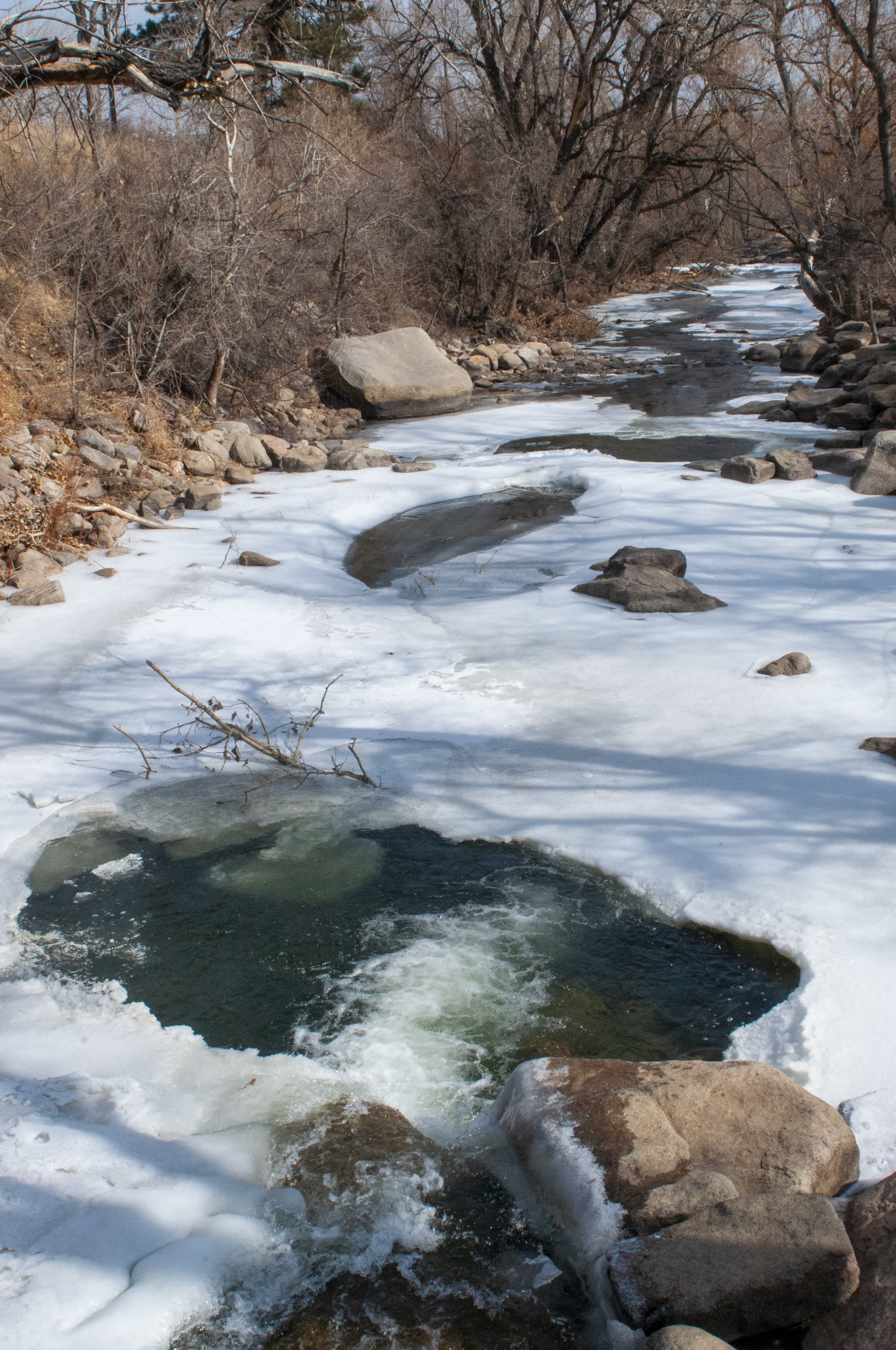 Boulder Creek mostly frozen and covered in snow. #Boulder #Colorado #Winter #Nature