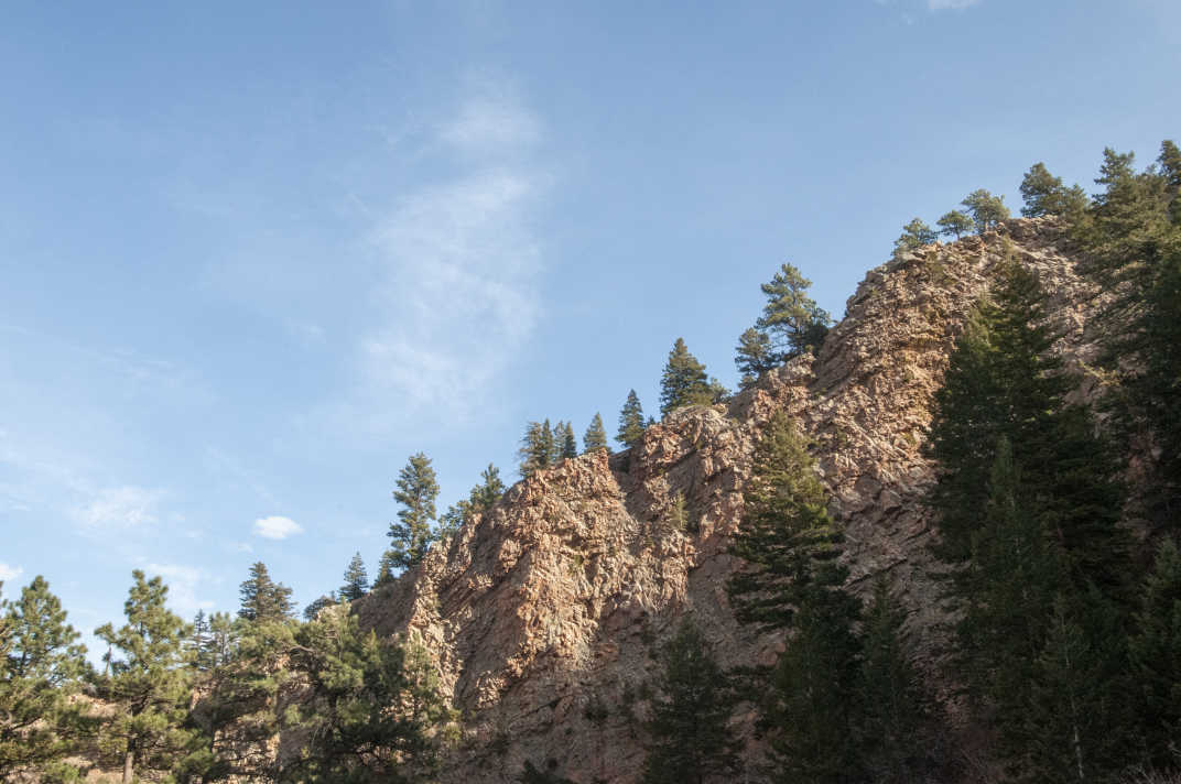 Top edge of a canyon covered with trees in Eldorado Canyon State Park #Boulder #Colorado #Nature #StatePark #EldoradoCanyon