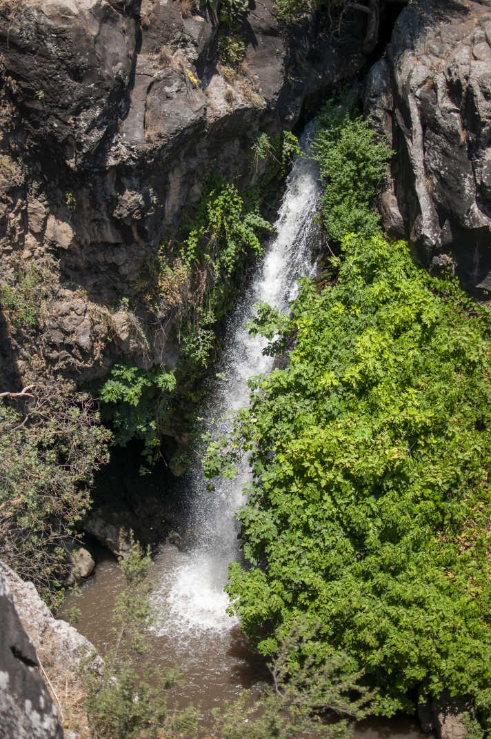 Obscured waterfall behind plants in Jilabun Stream, Golan Heights, Israel. 