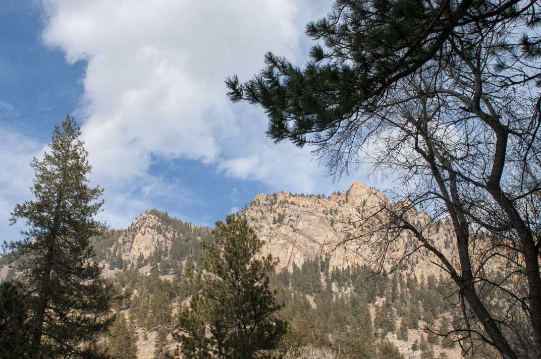 Trees and mountains in Eldorado Canyon State Park #Boulder #Colorado #Nature #StatePark #EldoradoCanyon