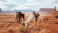 Two horses grazing in a desert environment with large mesas in the background