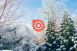 A winter scene with pine trees covered in snow with the Issuu logo in the center