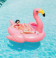 a pink rubber duck in a pool