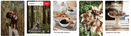 scrolling through autumn foods on pinterest