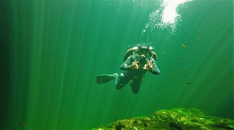 Diving in Mexico