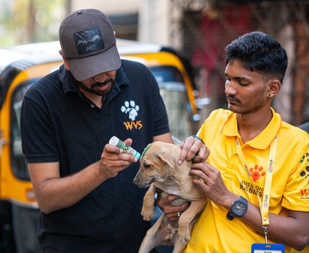 Creating a Rabies Free World: Mumbai Vaccination Drive 2024
