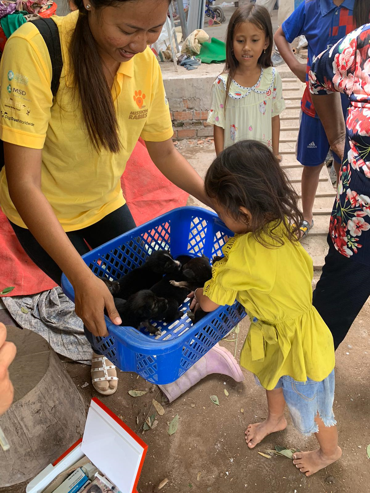 Mission Rabies to commence largest ever canine rabies vaccination drive in Cambodia