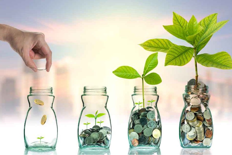 investment-plants
