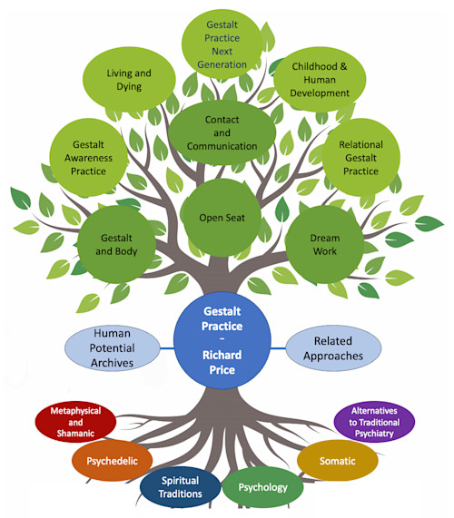 Library Structure v28