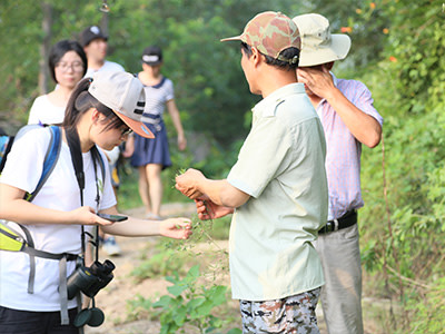 高校社團學生在戶外近距離觀察植物,進行環保相關的實地調研