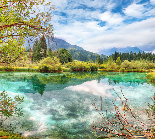 lake-zelenci-summer-reflections-triglav-national-park-592x533