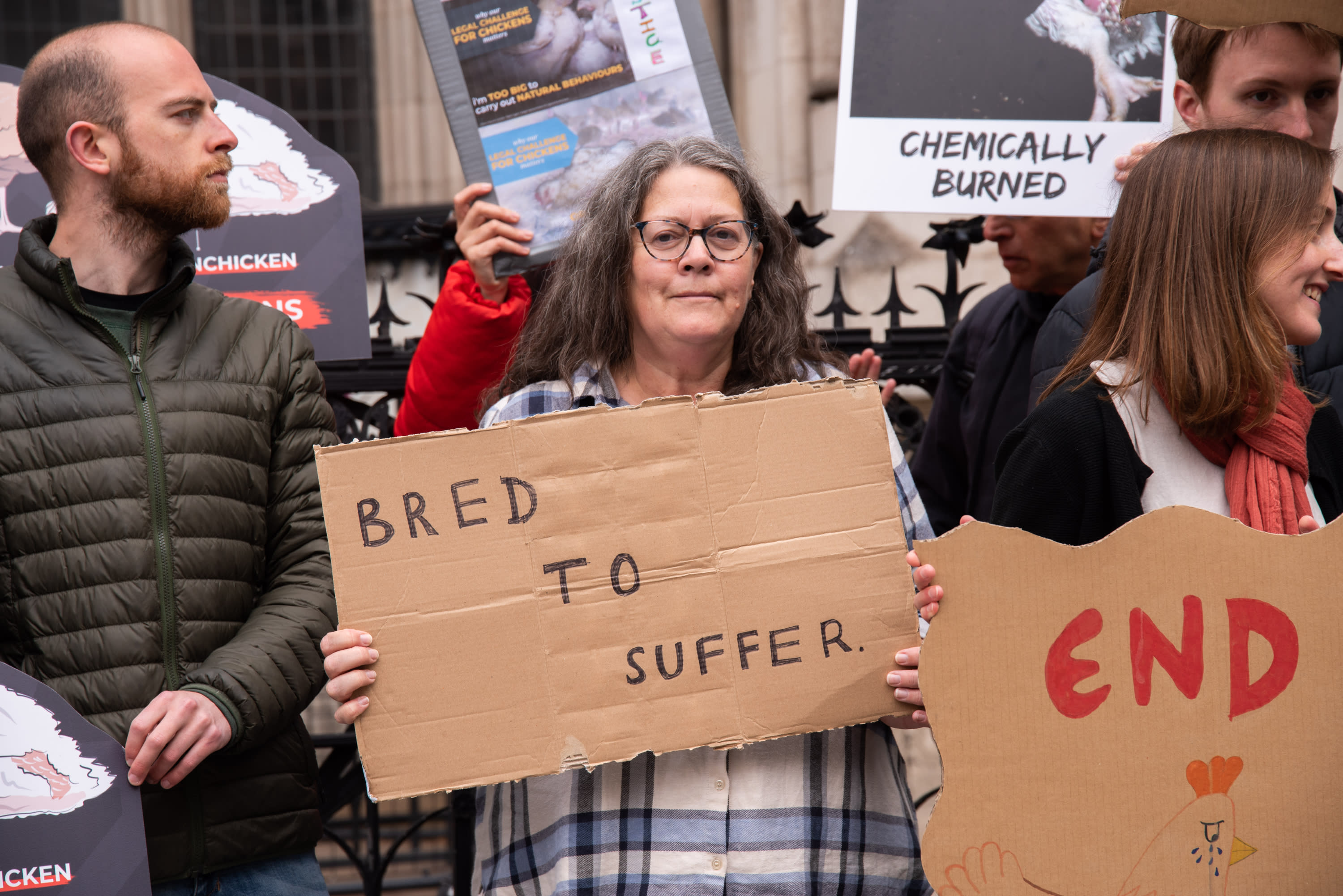 Volunteers protest outside the High Court