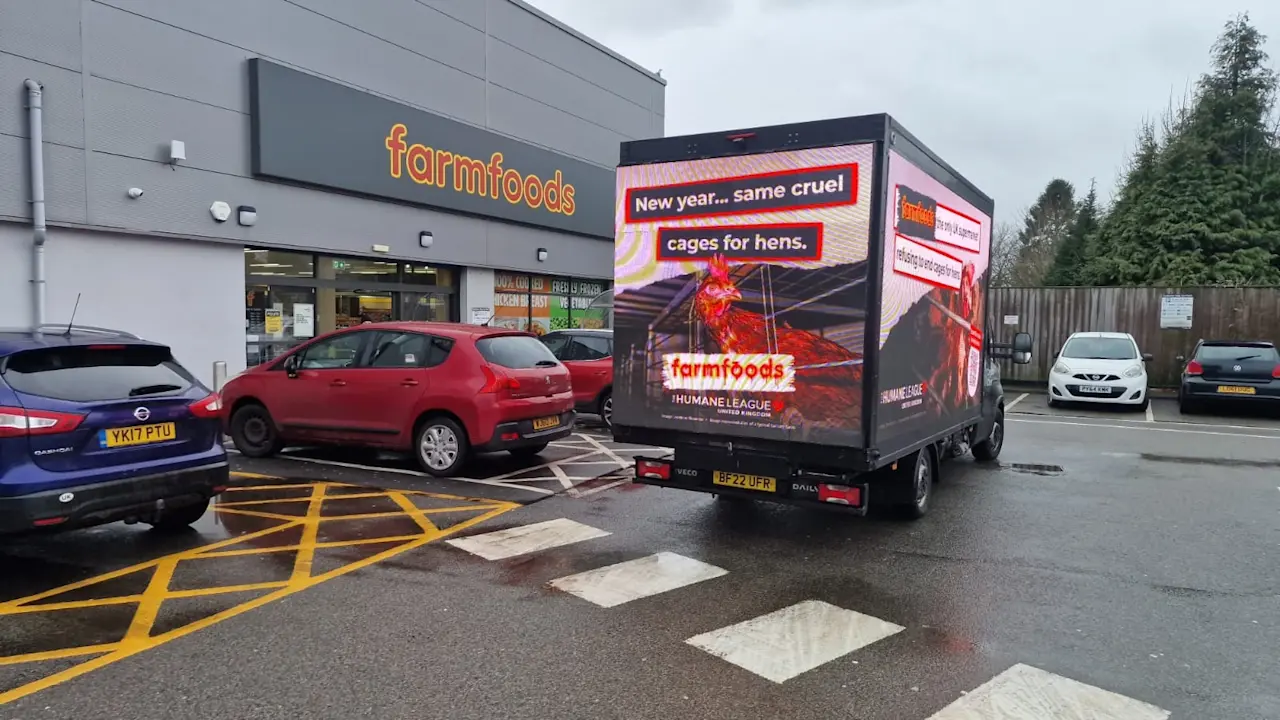 Farmfoods THL AdVan