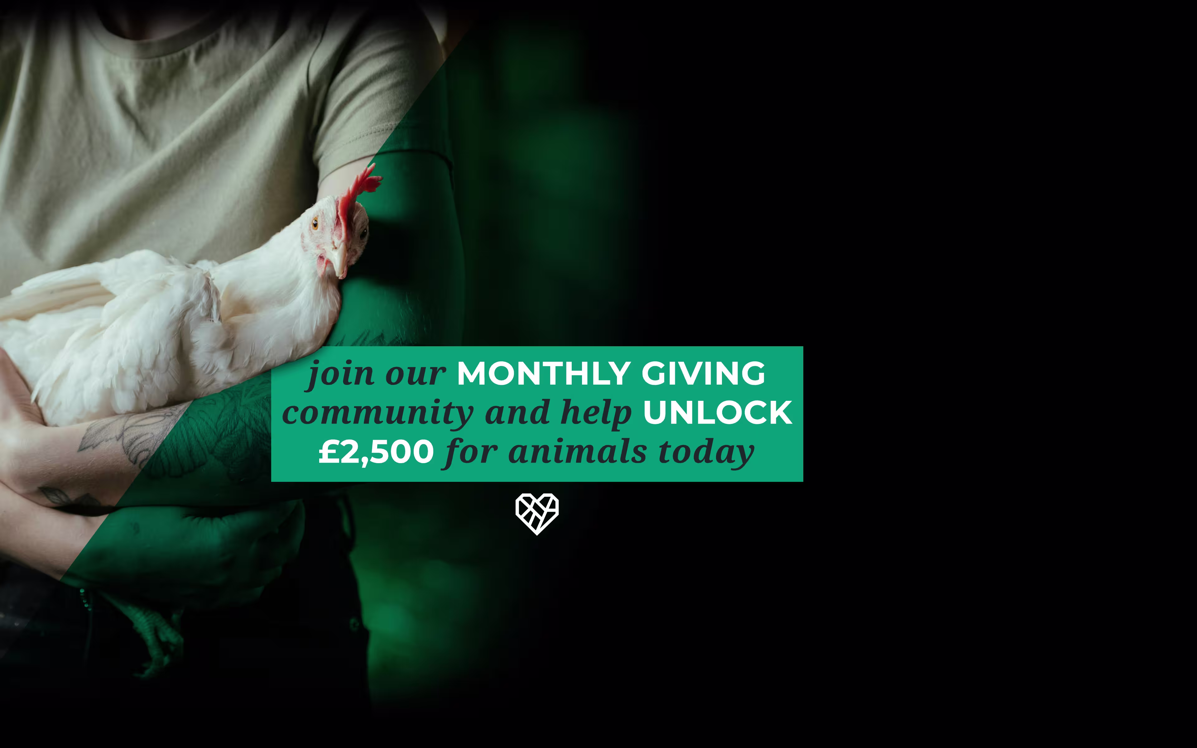 Regular Giving 2026 Curtain (Desktop)