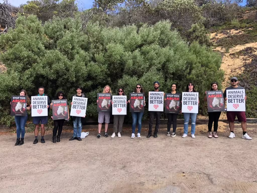 Activists stand in a long line, holding signs that read "Animals Deserve Better" and "Stop This Abuse."