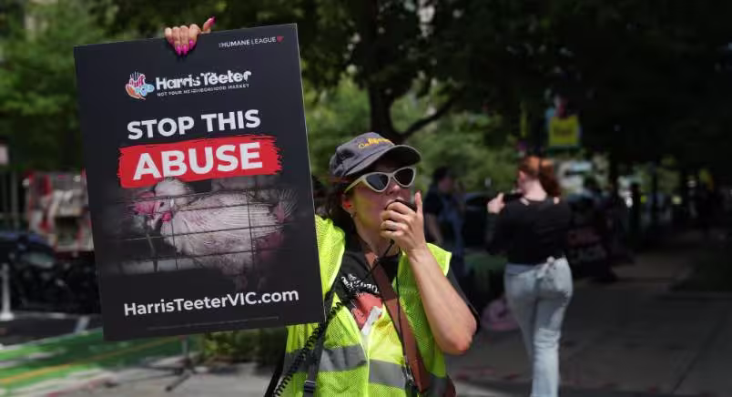 Homepage-Story-Image 2026-7-22-16-6-31