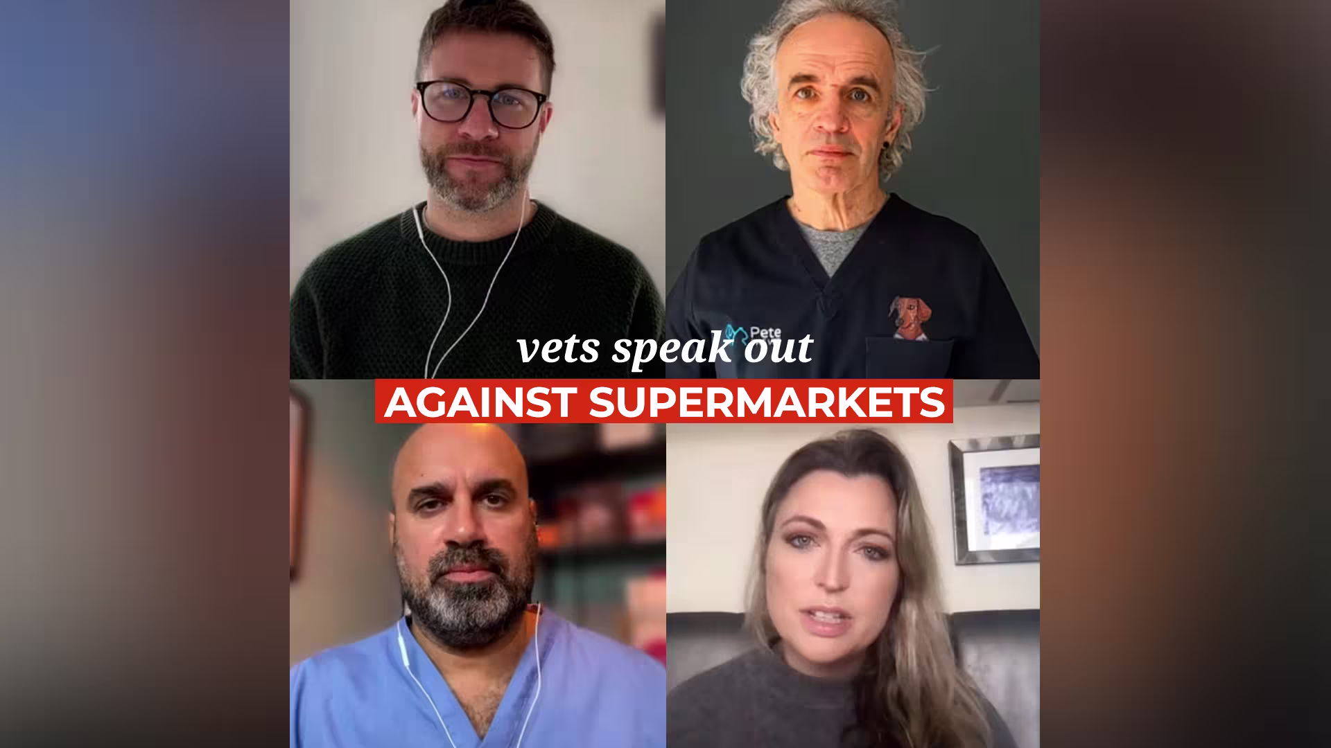 4 vets interview about chickens