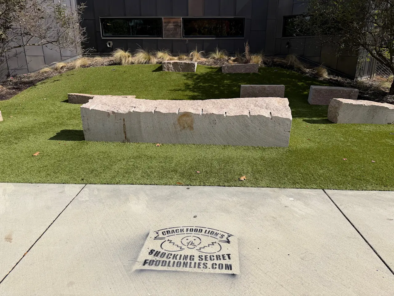 IMG 2604 Food Lion Salisbury Chalk Stencils