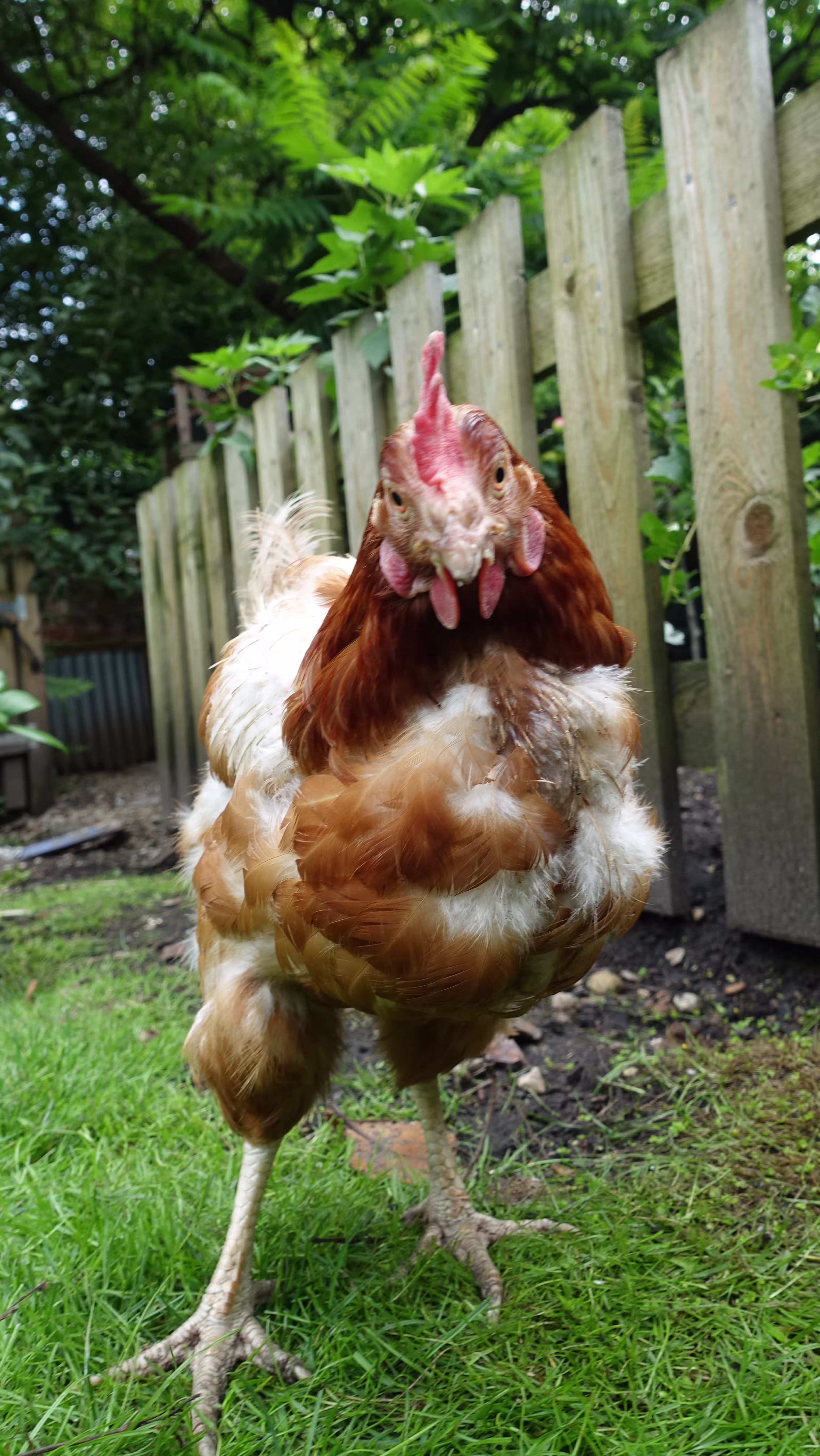 Beatrice posing for the camera