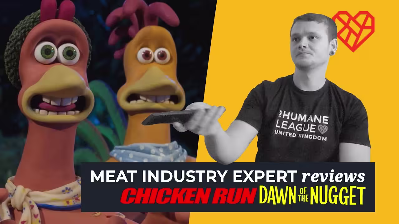 Image of Liam alongside Chicken Run 2 characters with Text: Meat Industry Expert reviews Chicken Run 2