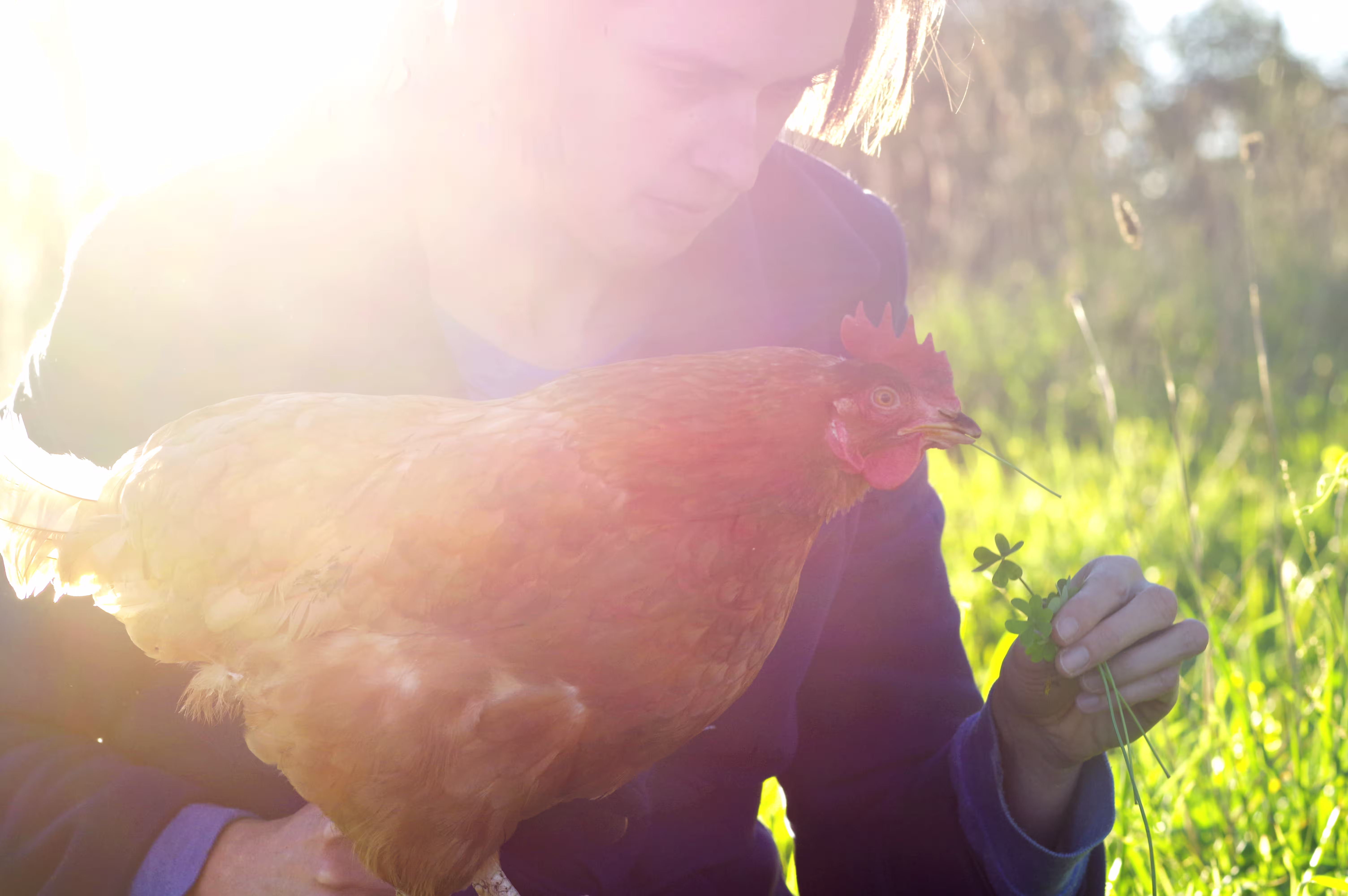 Bobby-Bob-Bob-with-Tamara-Kenneally-rescue