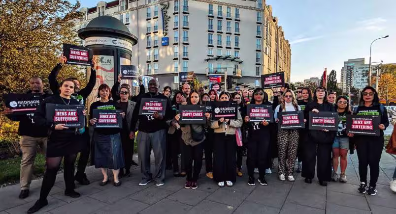 OWA 2025 EOY Mini Image