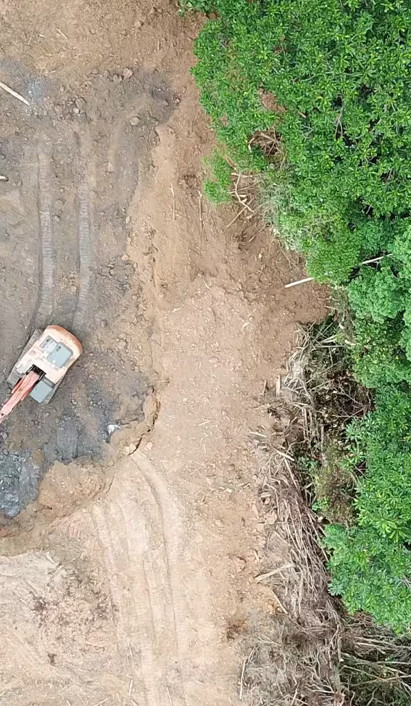 eating-veg-choose-reason-cards-planet