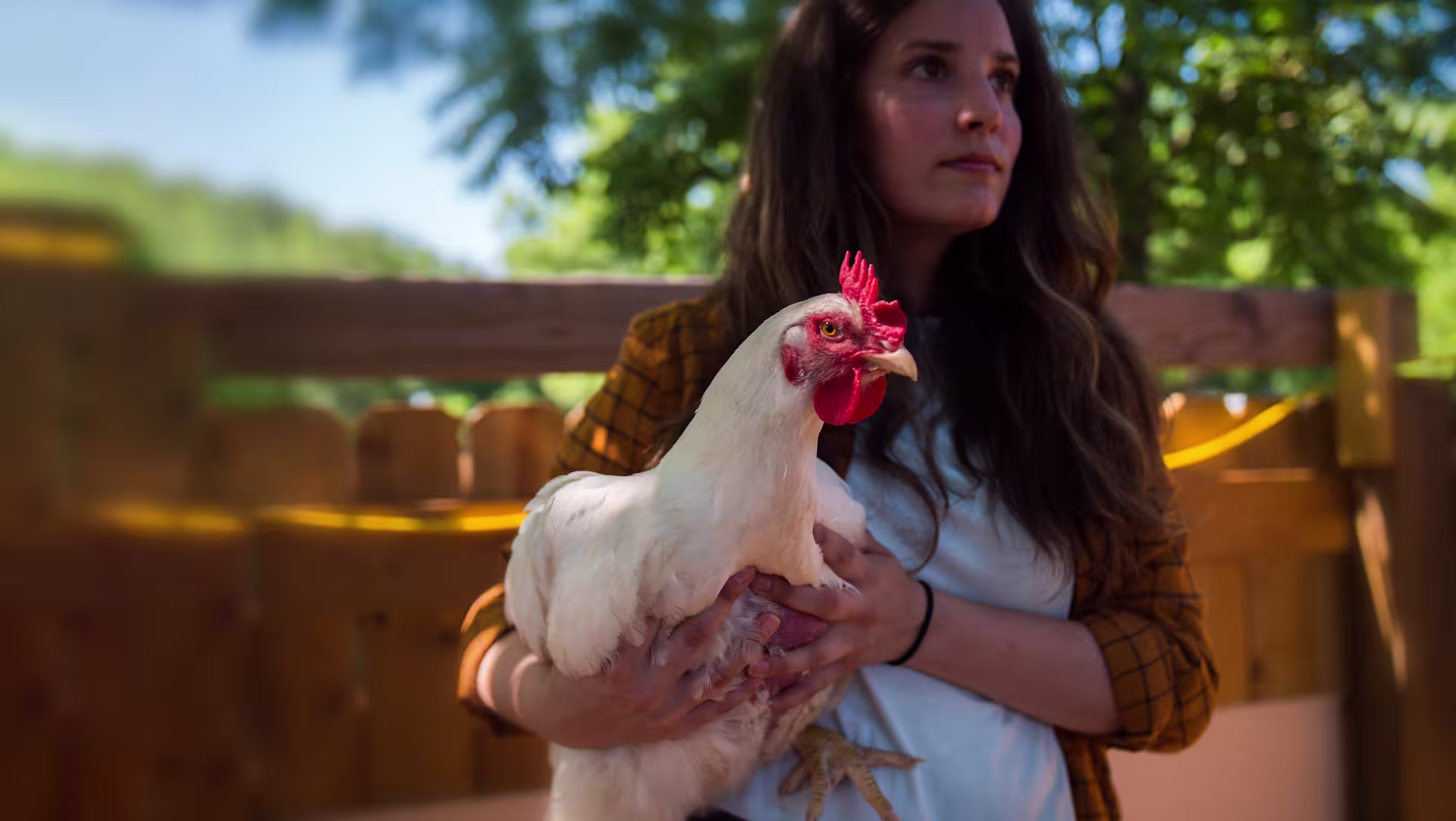 happy-broiler-katie-changing-hearts-rescue-human-adam-peditto copy