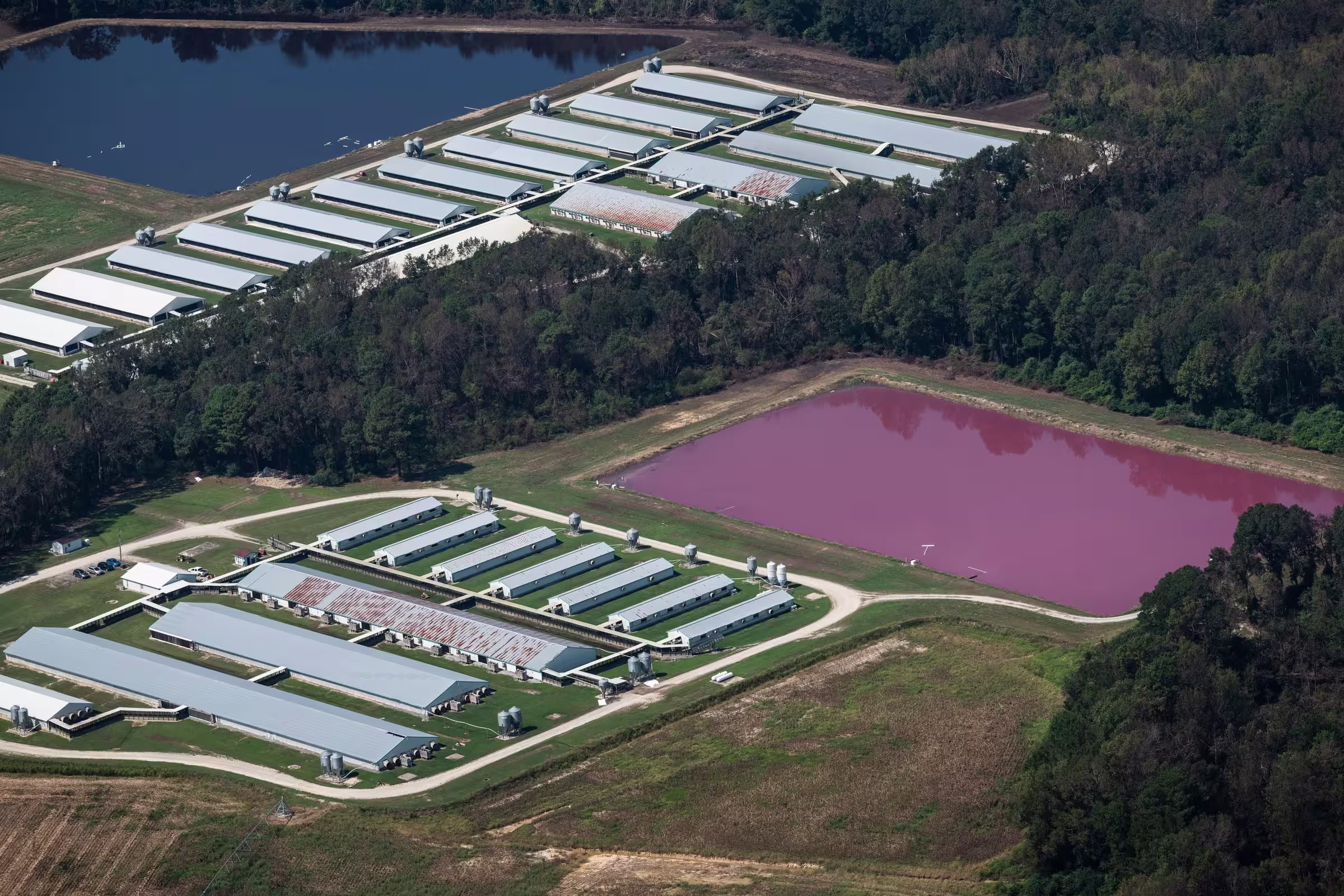 Aerial view of factory farm