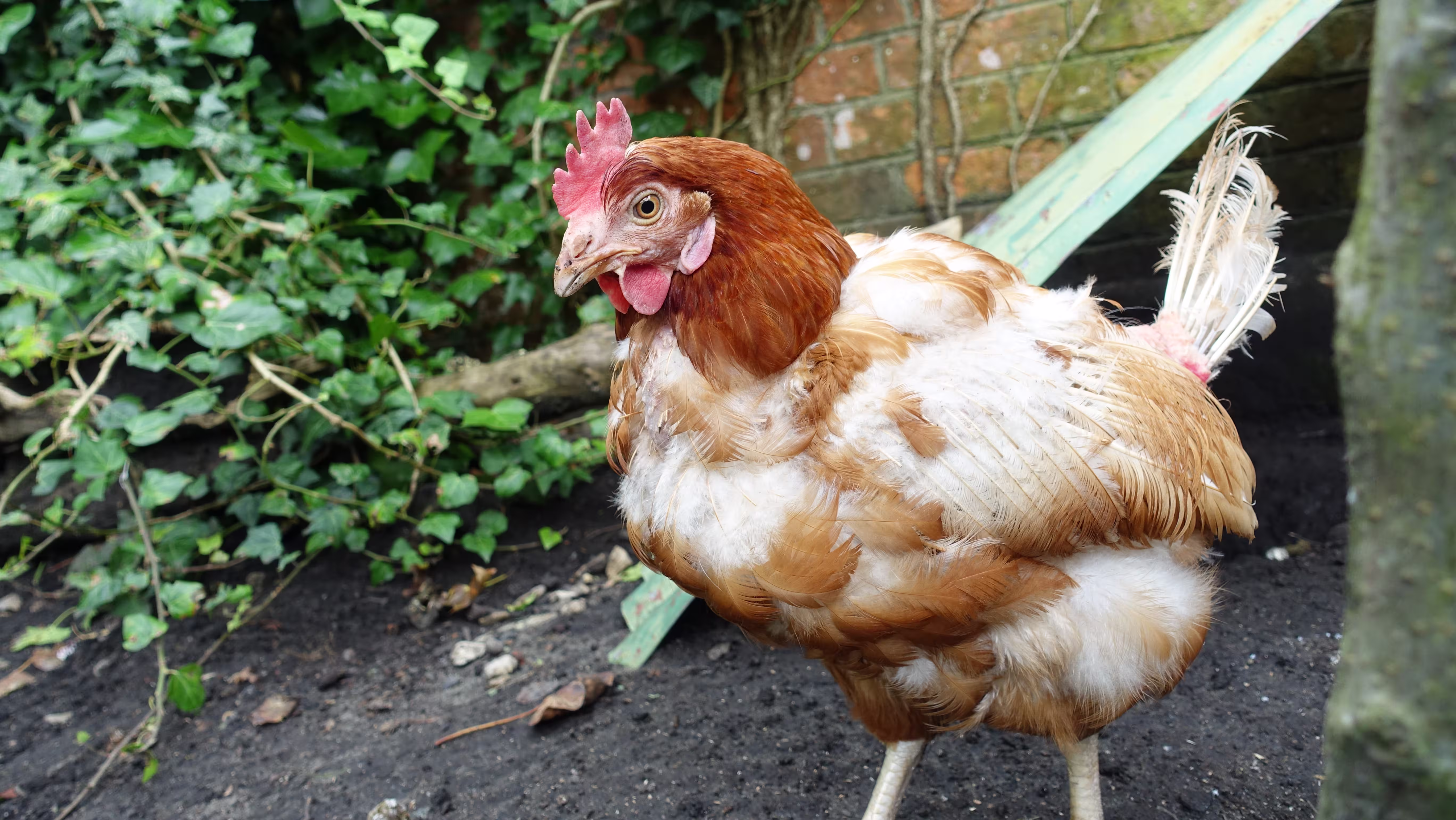 CFE3023D-11EC-4AFC-ADDA-0B0FED09E168