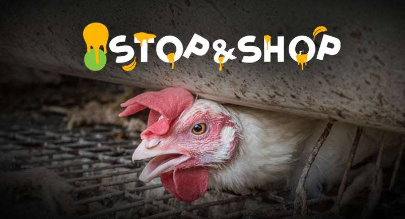 Stop & Shop cruelty logo over caged hen 2
