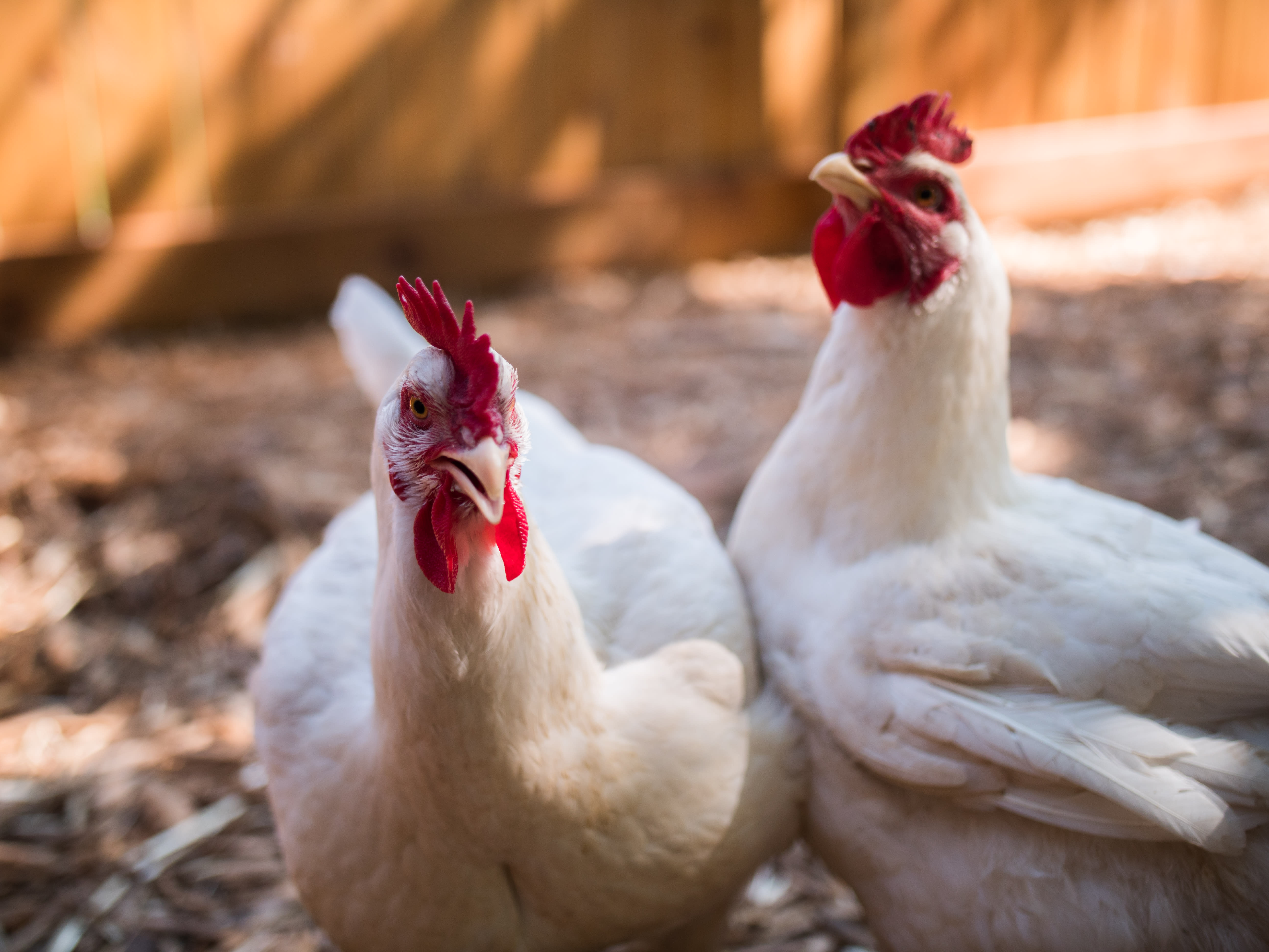 7-Eleven ESG Report Image