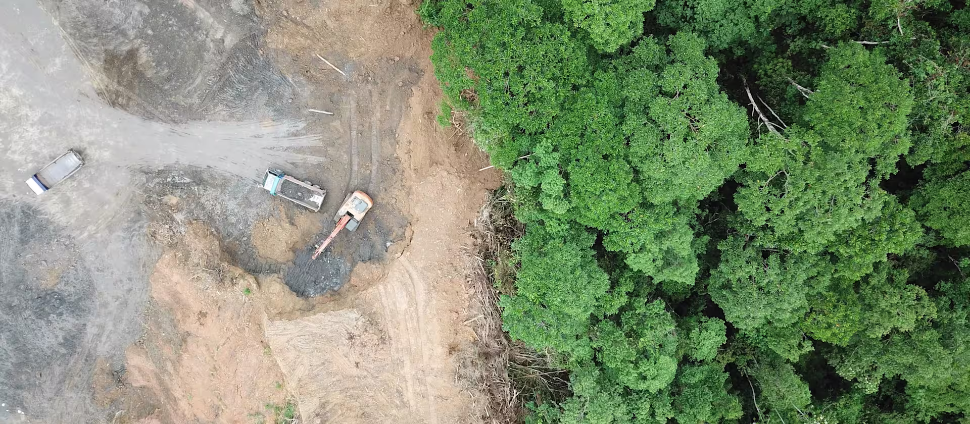 deforestation