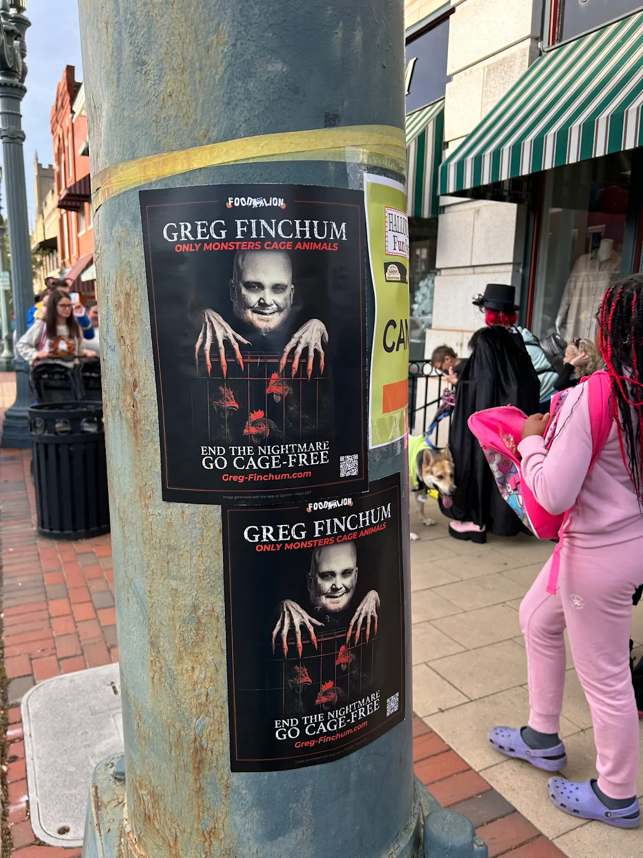 Posters in Salisbury Food Lion Salisbury