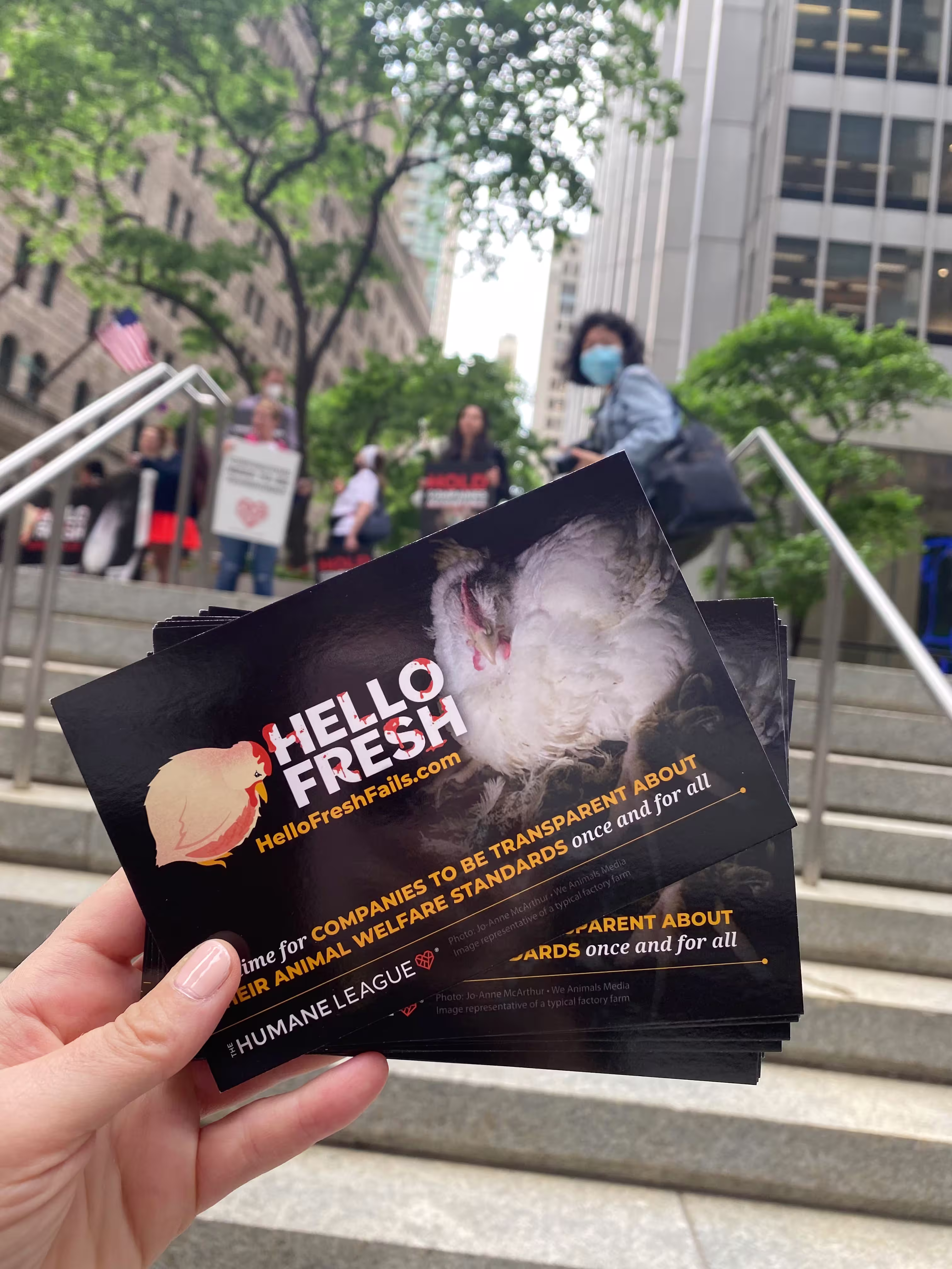 Postcards about HelloFresh and its unacceptable animal welfare policies