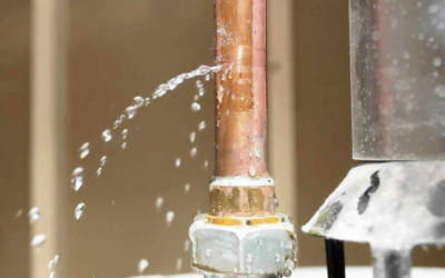 Uncovering the Truth: Water Leak Detection