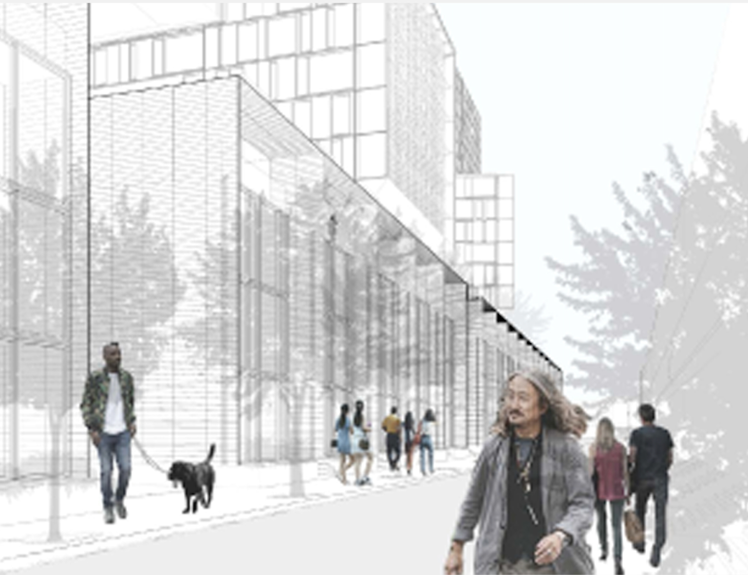 Screen Shot 2020-11-21 at 9.48.37 AM