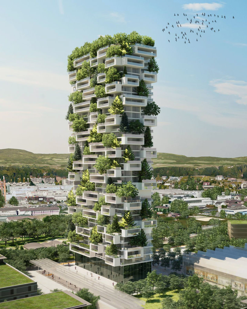 Phytoremediation