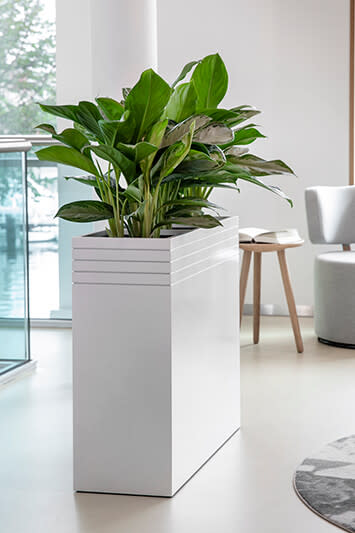 Einfaches Design mit subtilen Linien