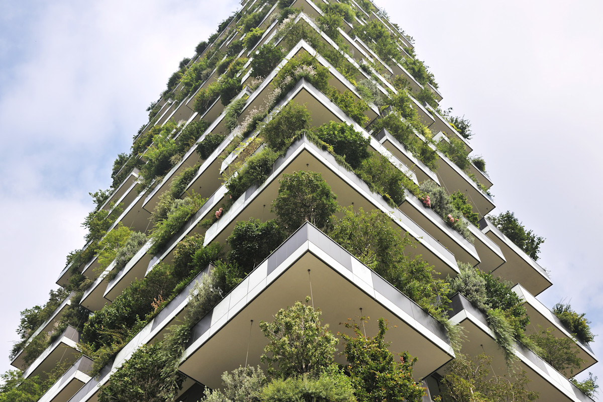 Plants purify soil and water