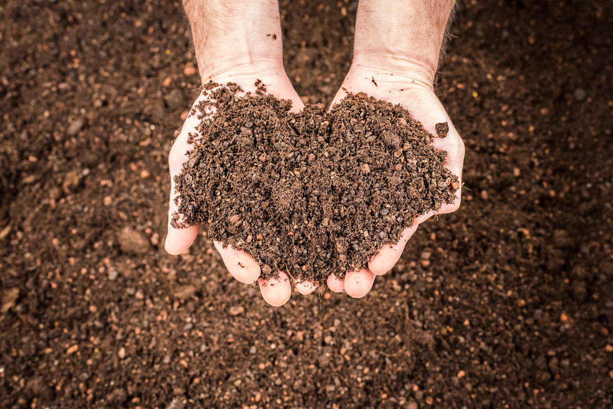 A good soil structure