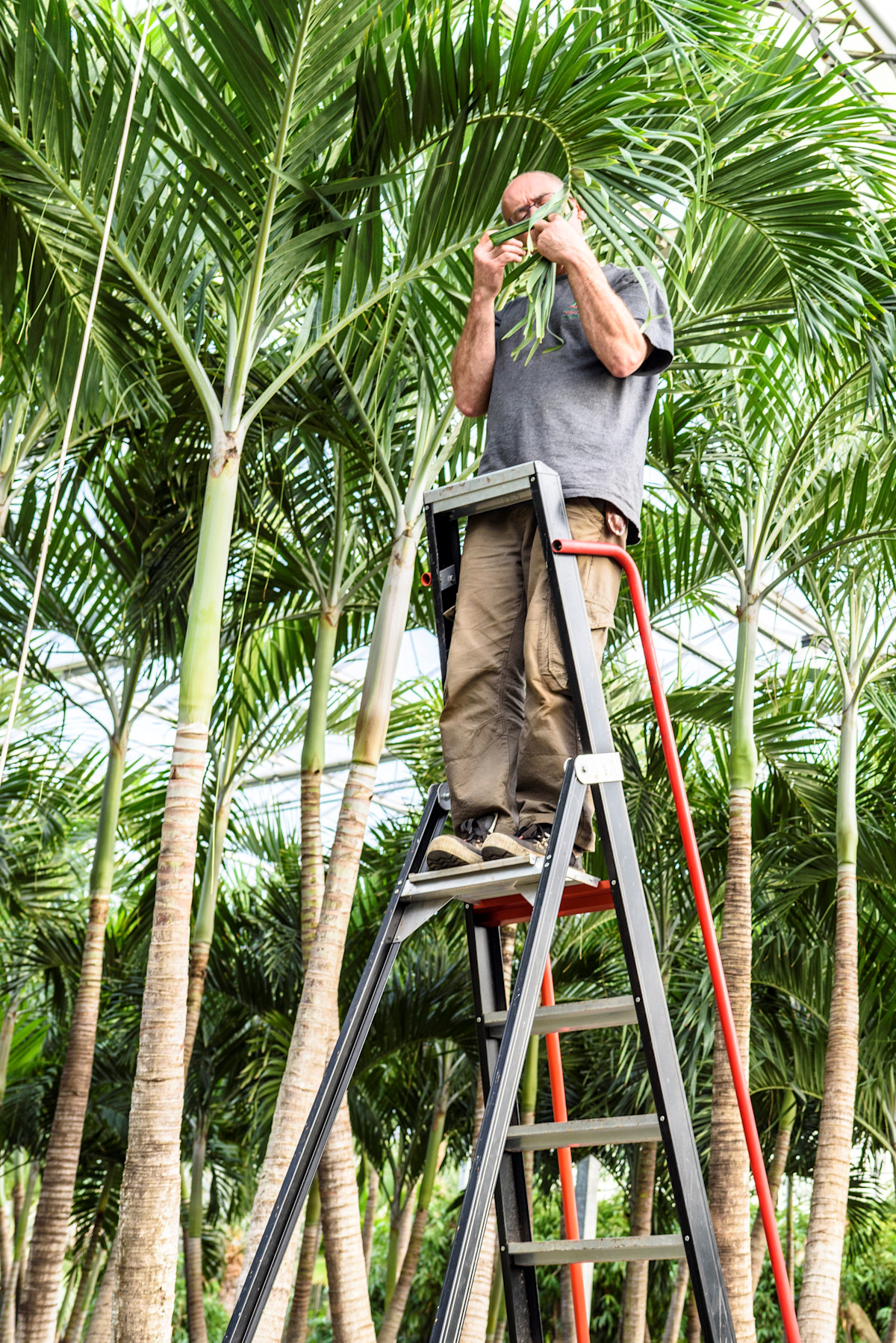 A ‘green’ supply chain