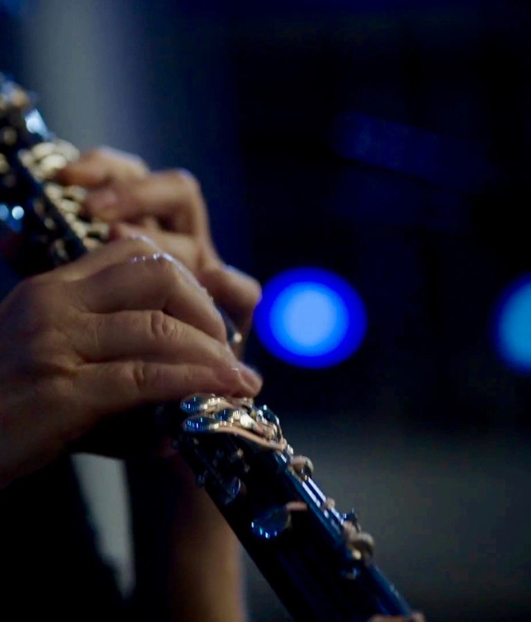 Close up, oboe