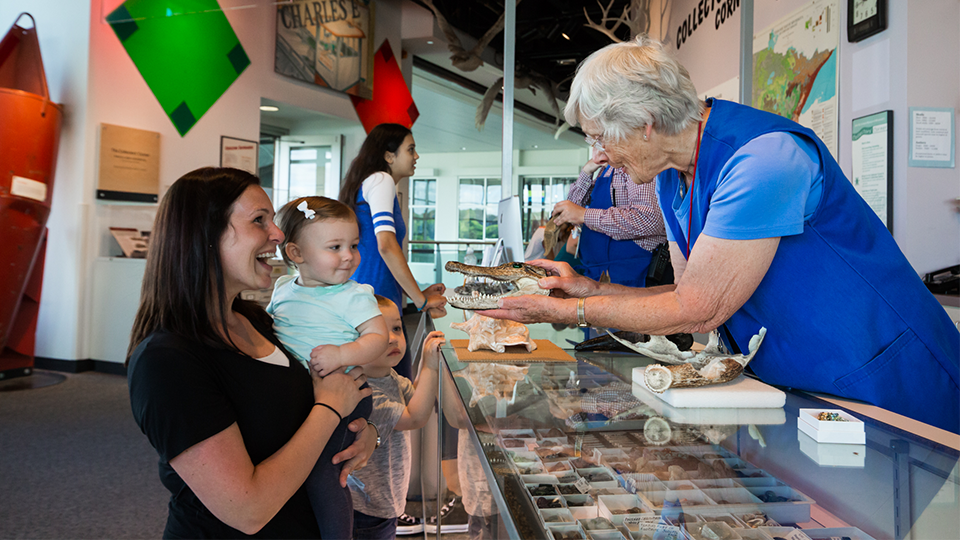 A museum visitor holding their baby in the Collectors' Corner and a museum staff member shows them a preserved crocodile head.